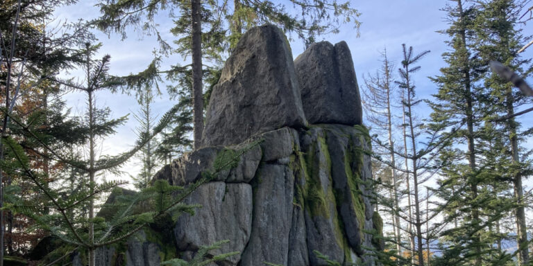 Geomantie bei Naturwanderungen zu 
Kraftorten erleben