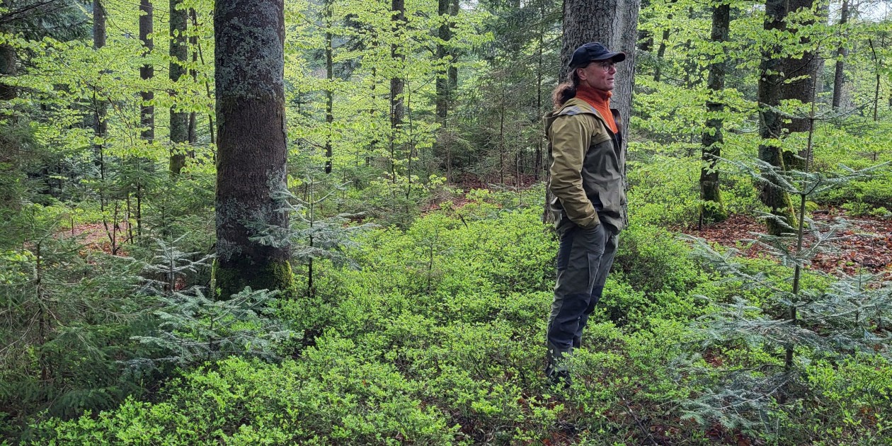 Waldführung am Reschbach in Bayern. Nimm gern Kontakt zu Jürgen Franz Oswald auf, um an einer Führung oder einem Seminar teilzunehmen.
